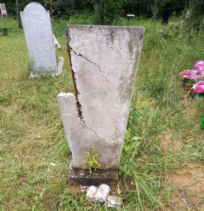 В Приамурье малолетние вандалы разгромили кладбище - 2x2.su