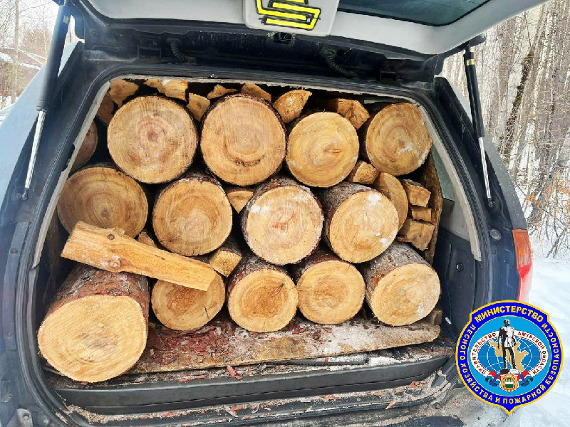 Житель Тынды незаконно нарубил дрова: будет возбуждено уголовное дело