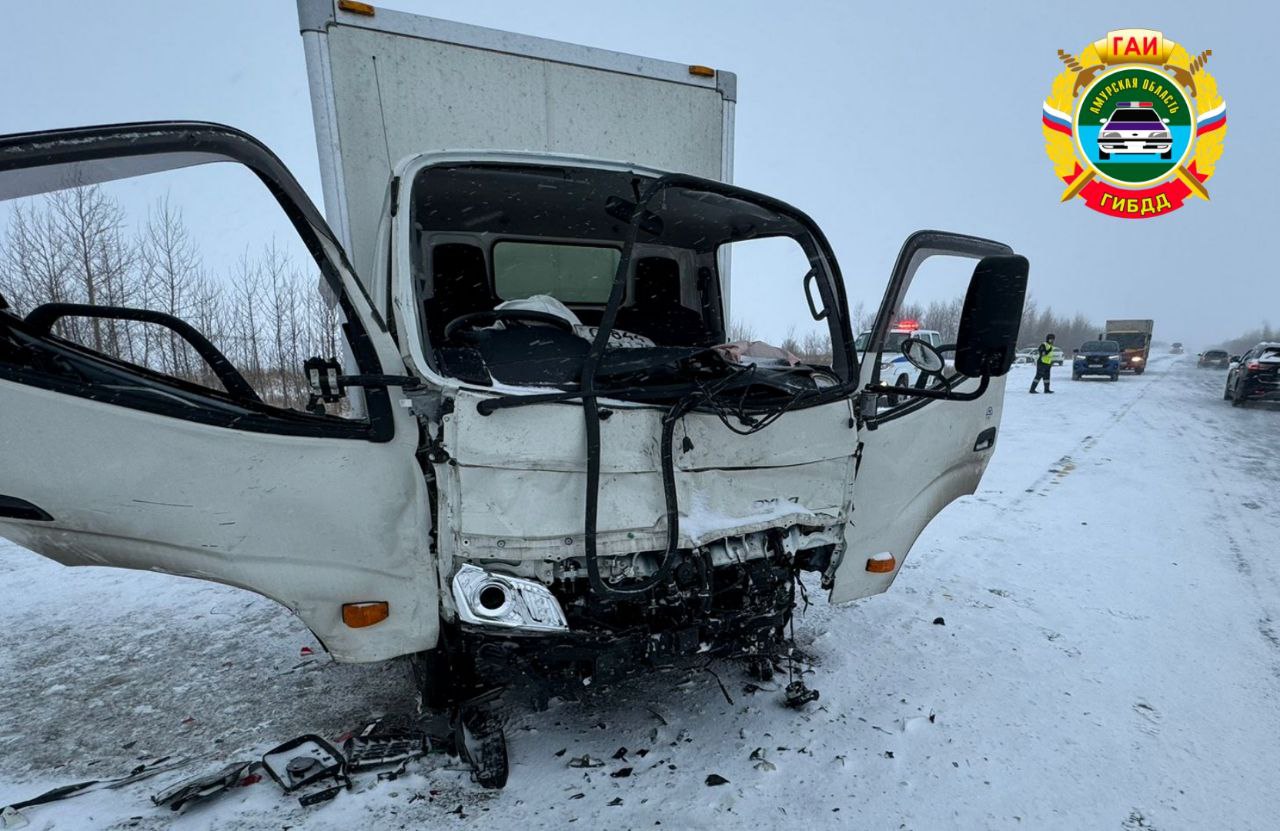 В Амурской области в ДТП на встречной полосе погиб водитель Toyota Probox - 2x2.su картинка 2