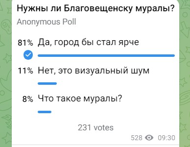 Украшение или визуальный шум: мэрия спросила благовещенцев, нужны ли в городе муралы - 2x2.su картинка 3