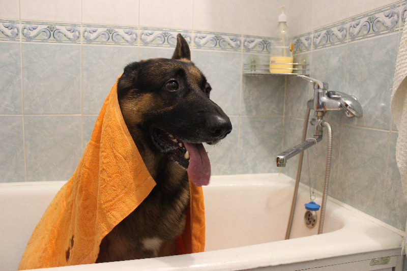 В Благовещенске и Чигирях 19 декабря могут возникнуть проблемы с водоснабжением - 2x2.su