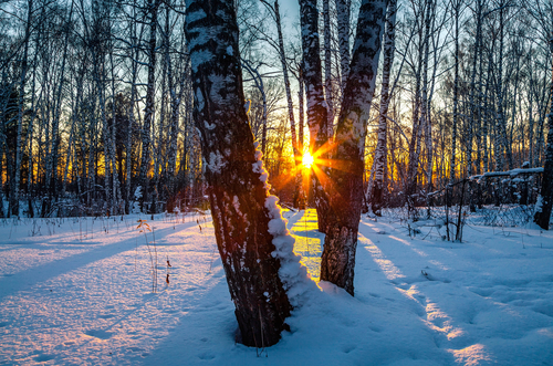Днем 14 - 16 градусов мороза: погода в Благовещенске 26 января - 2x2.su