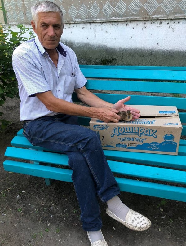 В Ивановке спасли выводок утят, провалившихся в подвал дома - 2x2.su картинка 2