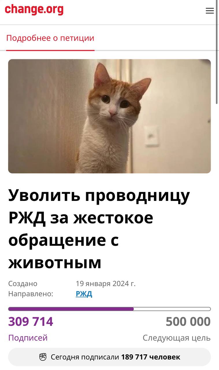 Россияне требуют уволить и осудить проводницу, выкинувшую из поезда кота Твикса - 2x2.su картинка 7