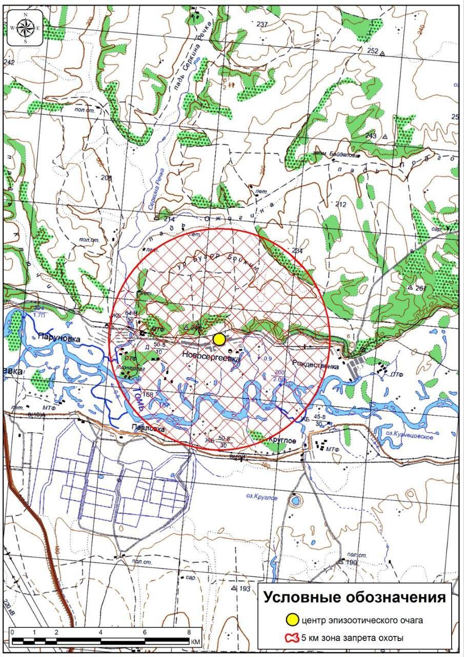 В очагах АЧС, выявленных в Приамурье, ввели полный запрет на охоту - 2x2.su картинка 2