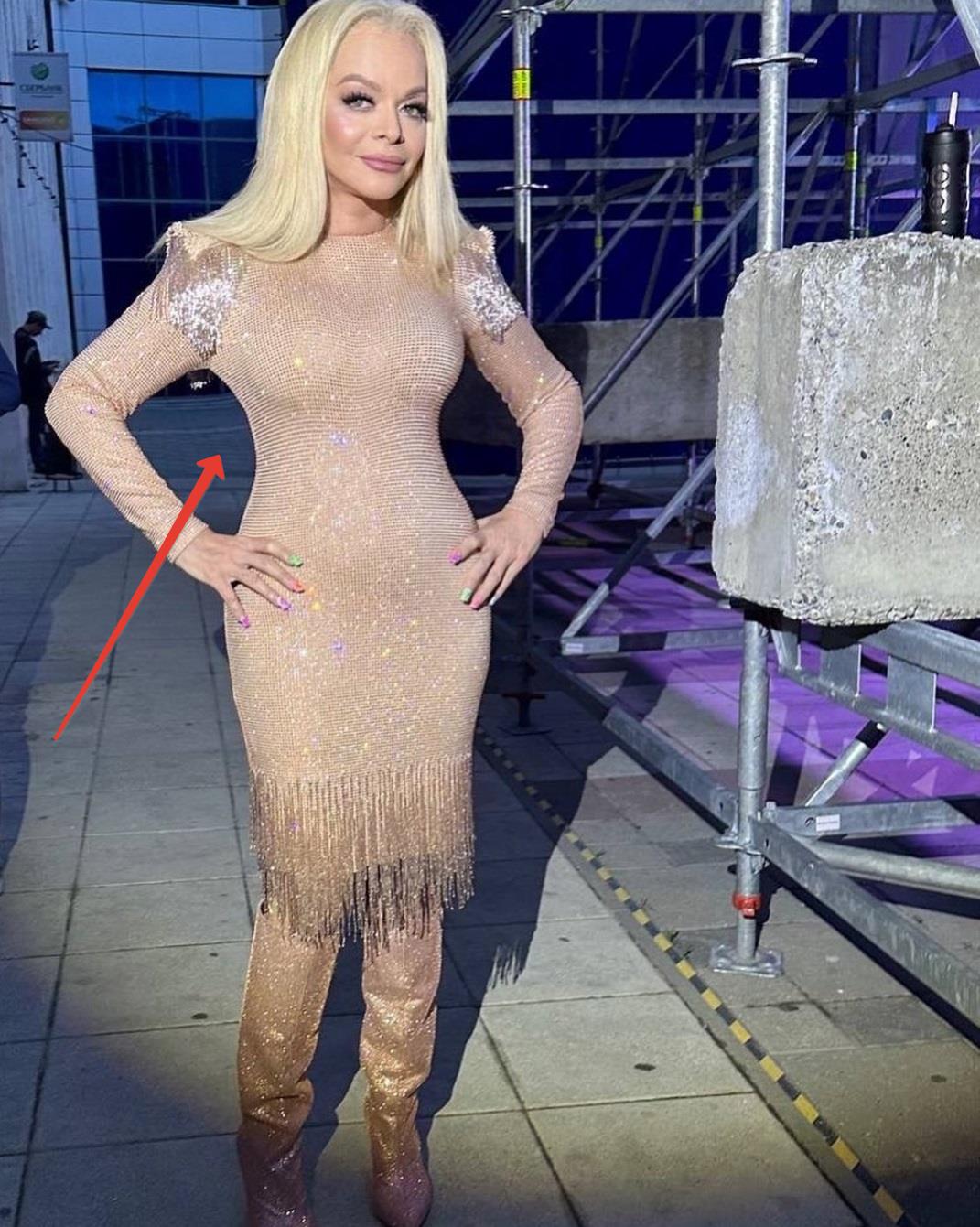 Лариса Долина опубликовала новое фото и нарвалась на критику - 2x2.su картинка 2