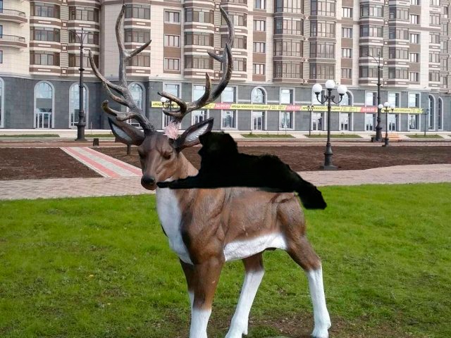 «С нами Черныш»: в Свободном появилась живая достопримечательность  - 2x2.su картинка 13