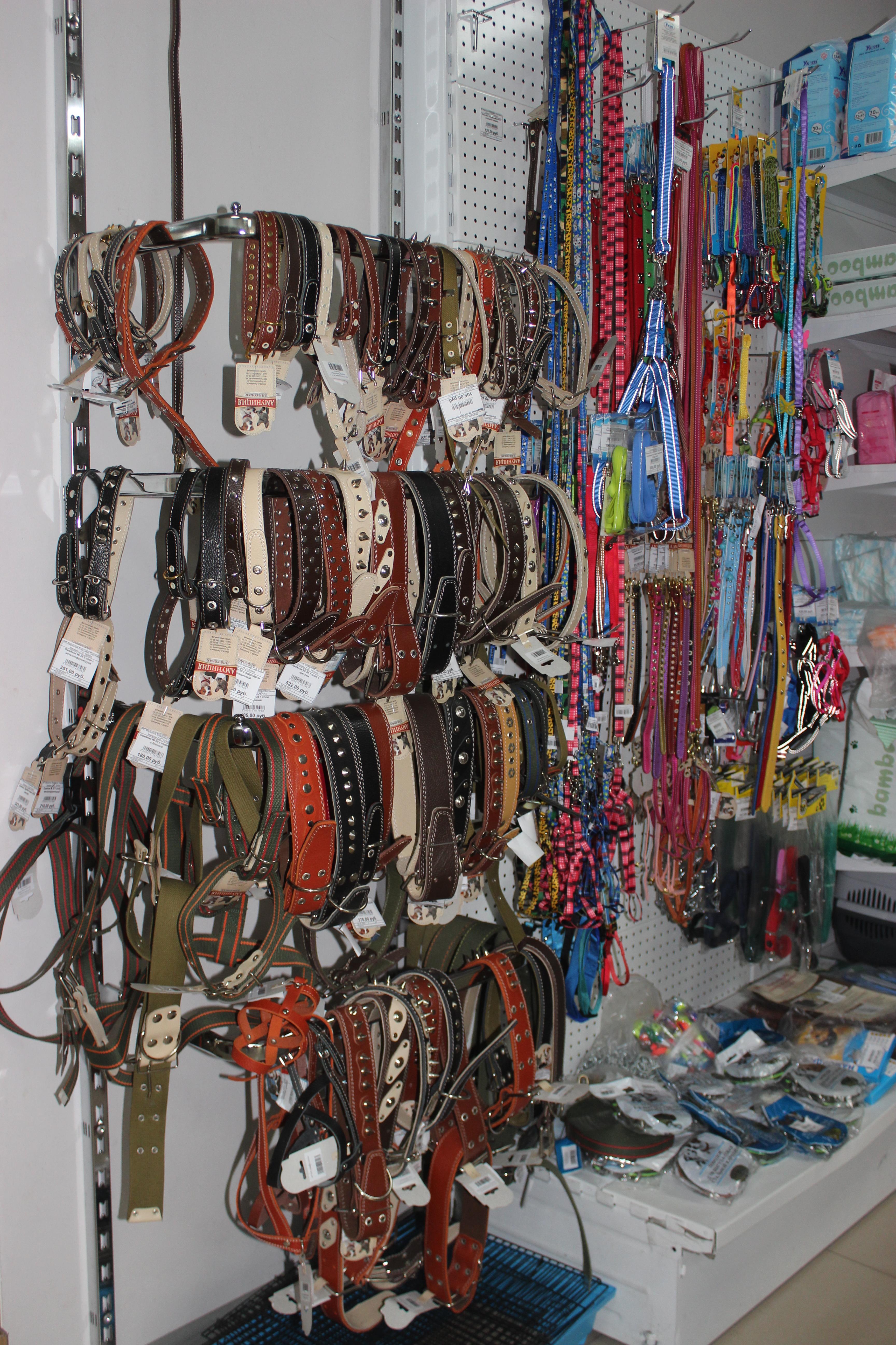 Груминг, магазины, дрессировка: где найти всё для вашего питомца? - 2x2.su картинка 4