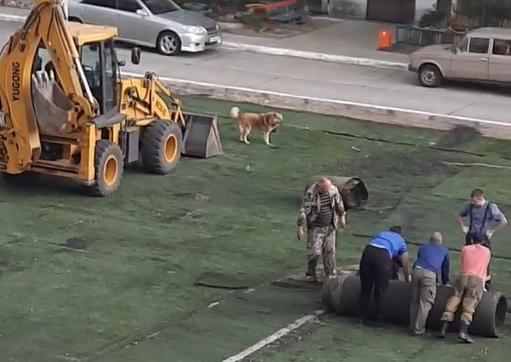 Жители Белогорска пожаловались на старый газон, уложенный на футбольном поле