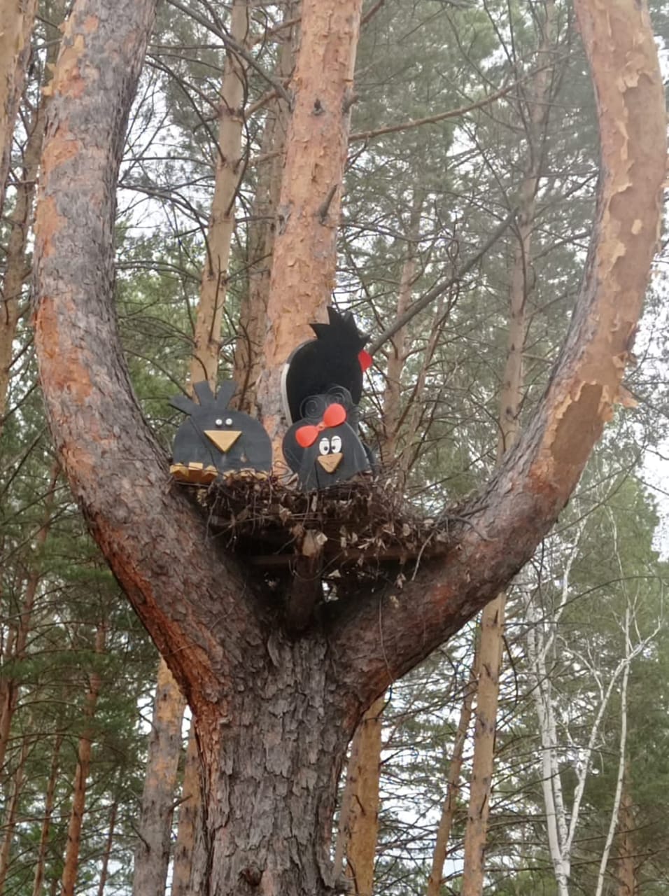 Экопарки, базы отдыха и гостевые дома: амурчане развивают туризм на дальневосточных гектарах - 2x2.su картинка 12