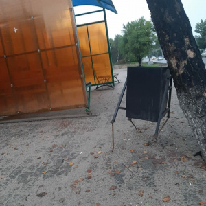 В Свободном появилась «бегающая» урна - 2x2.su