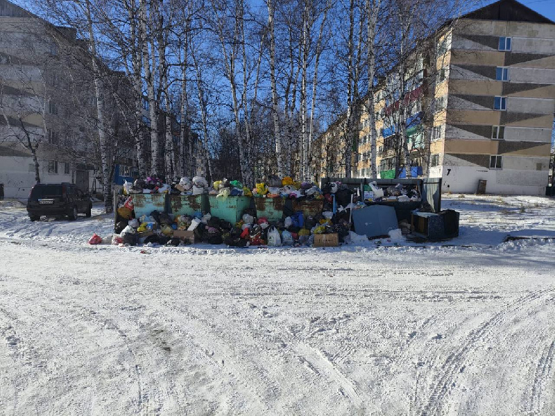 В Зее обещали привести в порядок контейнерные площадки после «мусорного хаоса» - 2x2.su