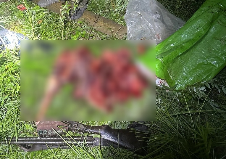 В Шимановском округе браконьер спрятал мясо косули и ружье в тайнике 