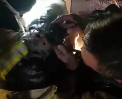 В Белогорске пожарным пришлось реанимировать кота - 2x2.su