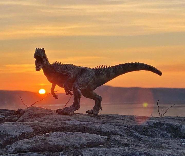 Амурчанка устроила фотосессию динозаврам на Михайловских столбах 