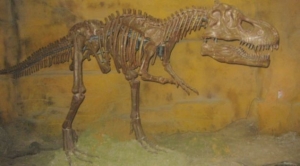 Новая космическая находка: на Марсе обнаружили череп динозавра - 2x2.su