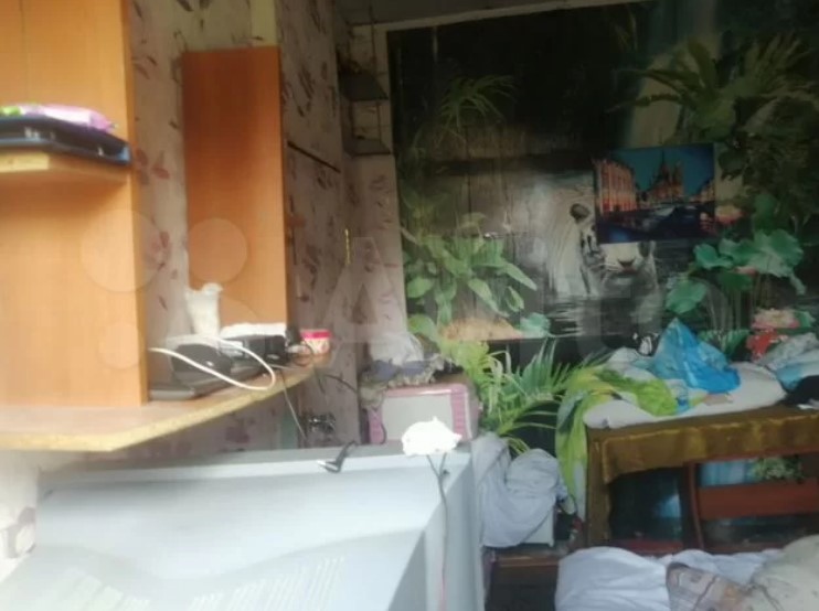 Снять дом в Благовещенске можно за пять тысяч рублей в месяц: обзор недвижимости - 2x2.su картинка 4