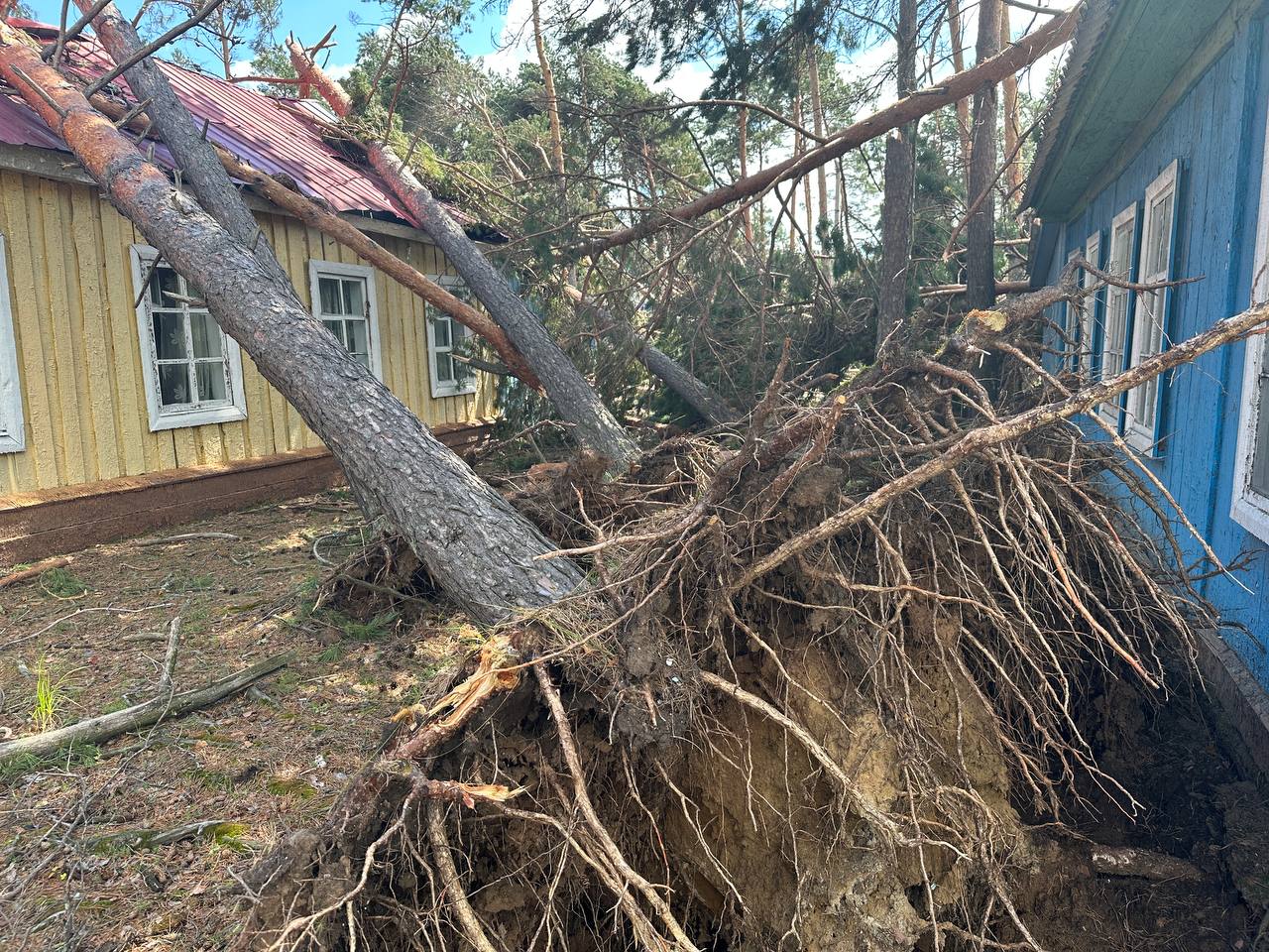 «Какое счастье, что закрыли»: мэр Белогорска показал разрушения от урагана в детском лагере  - 2x2.su картинка 5