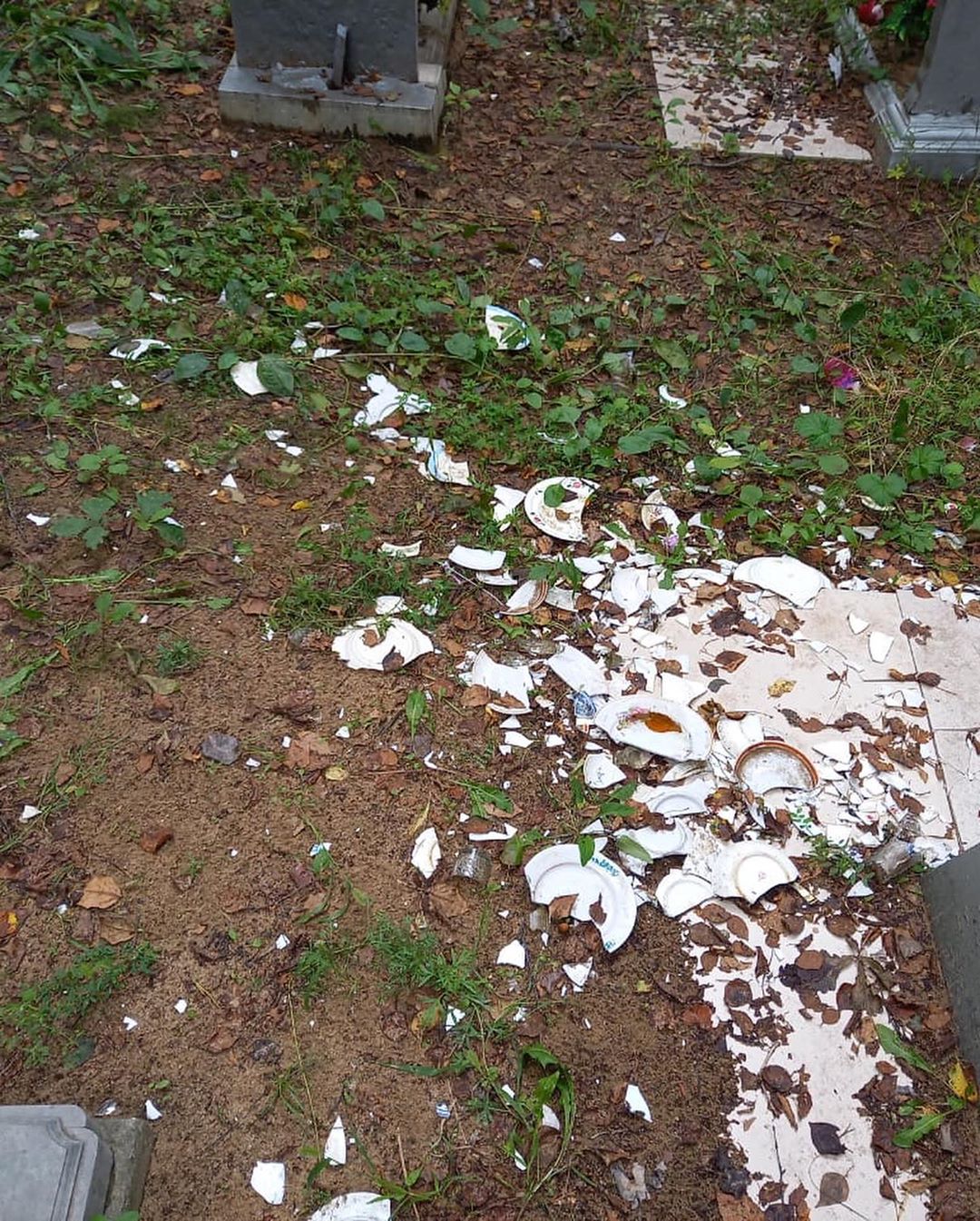 В Приамурье малолетние вандалы разгромили кладбище - 2x2.su картинка 6
