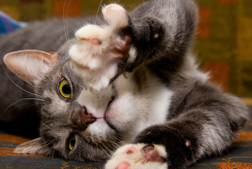 Гороскоп на 2 мая: Тельцы знакомятся с мужчинами, а про Близнецов забыли - 2x2.su