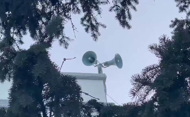 В Белогорске снова начали пугать ворон - 2x2.su