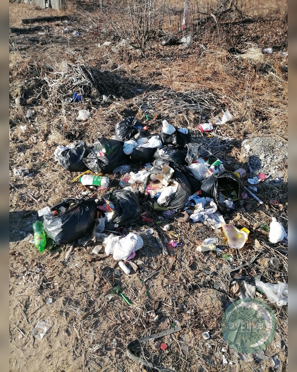 «Дети гуляют по помойке»: жители Свободного устроили в черте города мусорную свалку