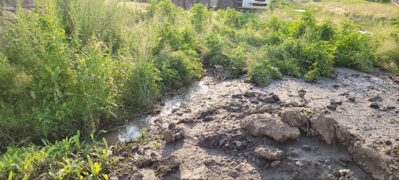 Всё в воде: участки жителей Чигирей тонут из-за проблем с водоотведением  - 2x2.su картинка 4