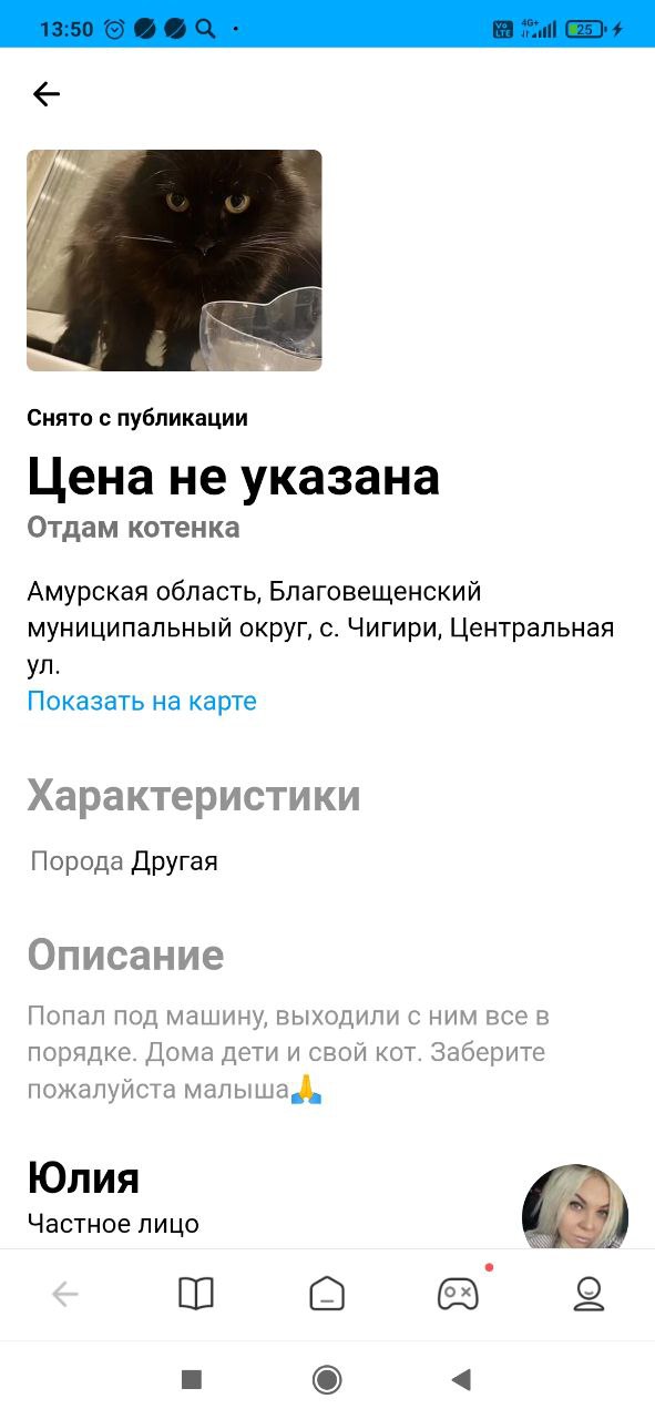 Благовещенские школьники спасли кота, который потерялся и попал под машину - 2x2.su картинка 2