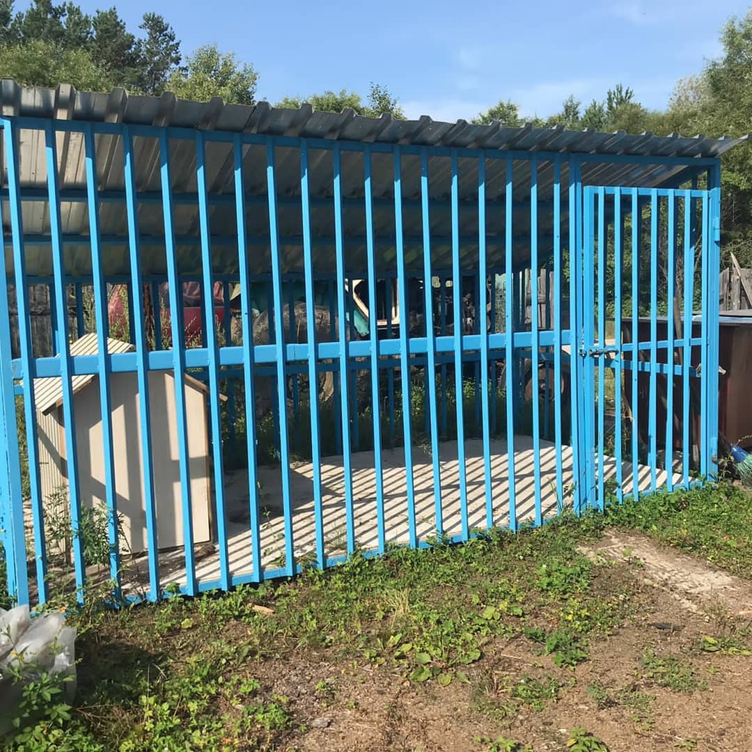 Амурские зооинспекторы проверили приют для животных в Свободном - 2x2.su картинка 7