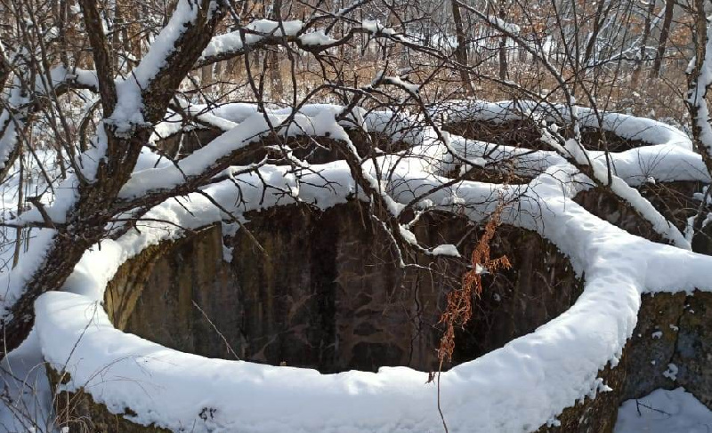 В Бурейском районе лесничие наткнулись на остатки лагеря японских военнопленных - 2x2.su