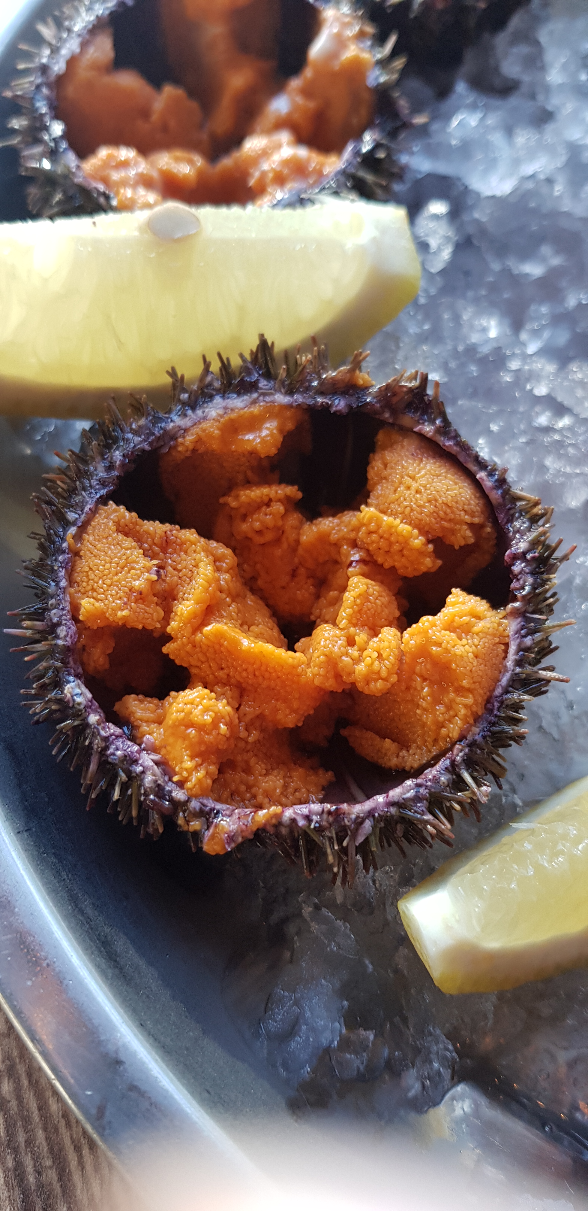 Где в Благовещенске можно поймать вкусных устриц   - 2x2.su картинка 8