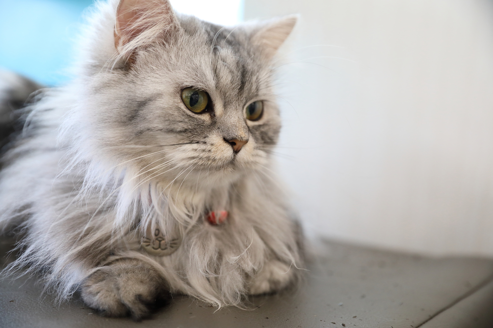 Гороскоп на 26 июля: Ракам хочется побыть с друзьями, а Рыбам не обещана уравновешенность - 2x2.su