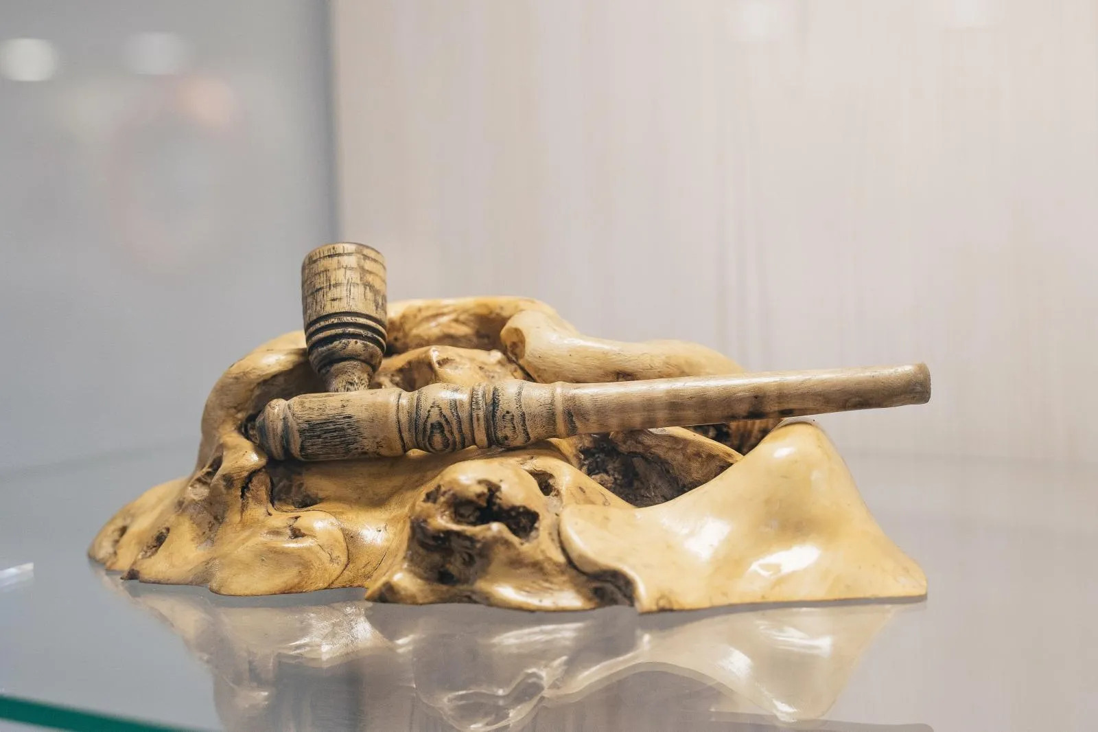 Благовещенцы смогут узнать историю казачества и посмотреть на тропических бабочек  - 2x2.su картинка 7