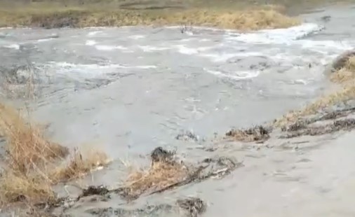 В Шимановске река Большая Пёра вышла из берегов и топит земельные участки 