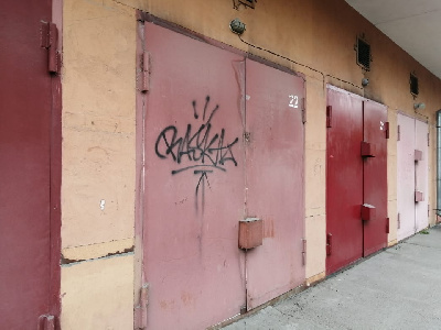 В Приамурье в шесть раз увеличат штраф за надписи и рисунки на стенах - 2x2.su