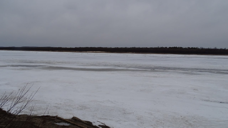 В Серышевском районе заметили мужчину, который плыл по реке на отколовшейся льдине - 2x2.su