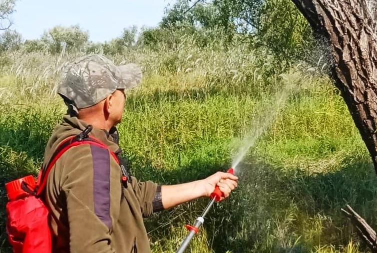 В Муравьёвском заказнике гнёзда аистов готовят к сезону пожаров - 2x2.su