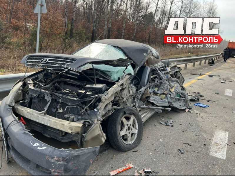 В жёсткой аварии с участием мусоровоза за Благовещенском чудом выжили люди - 2x2.su