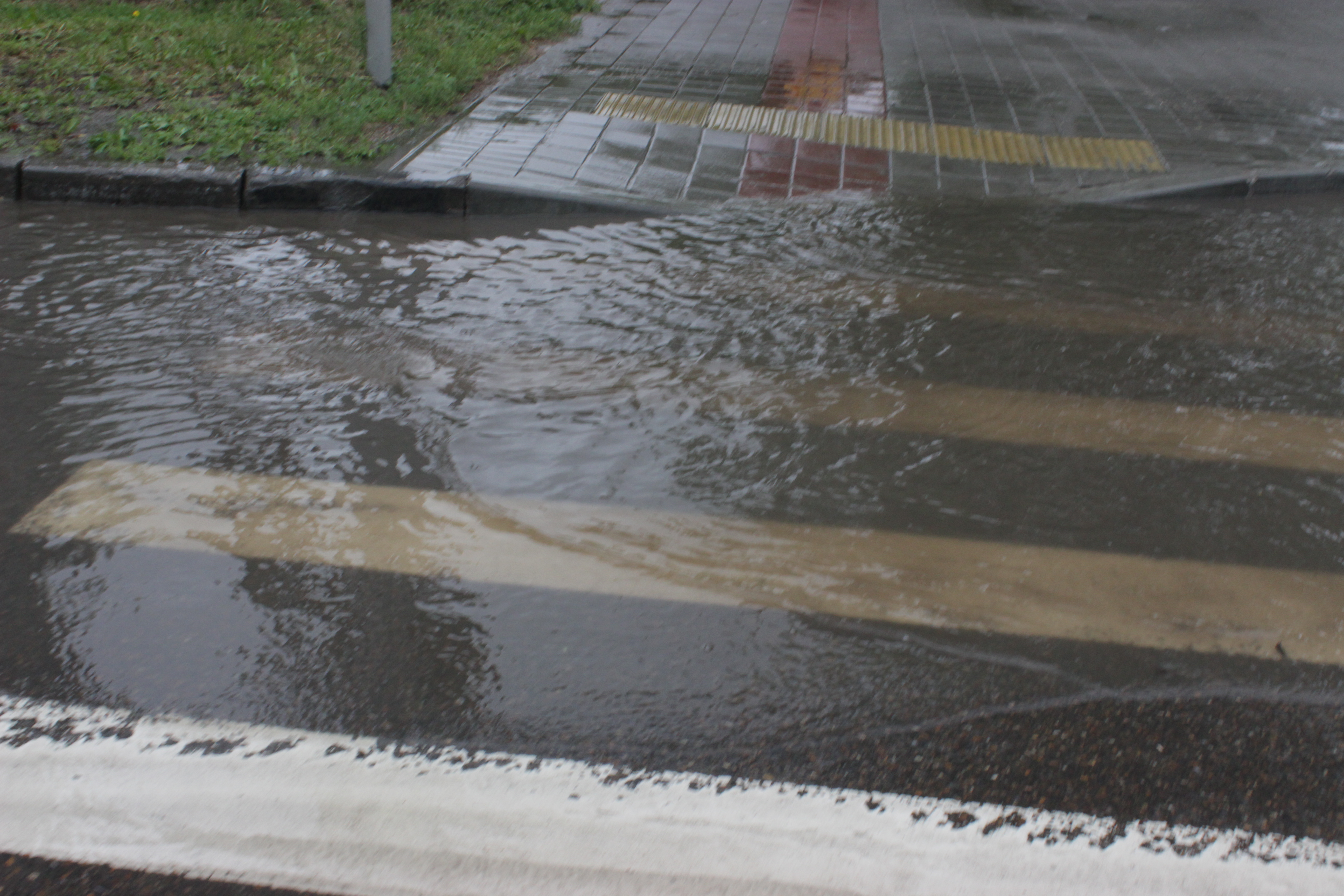По колено в воде: как выглядит Благовещенск после летнего ливня - 2x2.su картинка 10