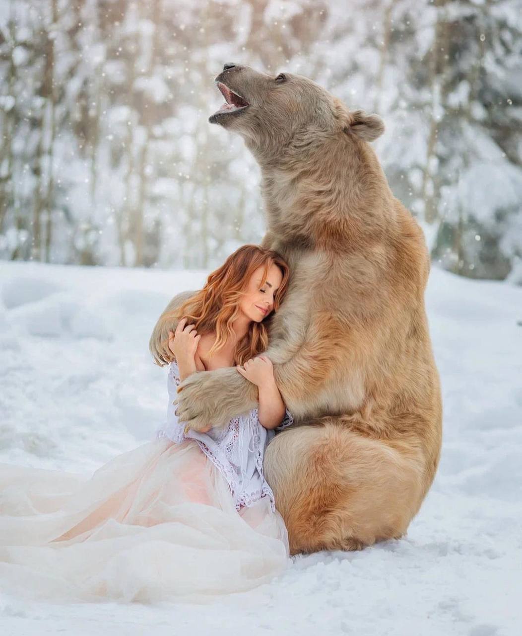 Певицу МакSим раскритиковали за фотосессию с медведем - 2x2.su картинка 3