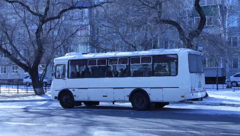 Жители Благовещенска ждут скидки на проезд в автобусе для владельцев карты «Мир» - 2x2.su