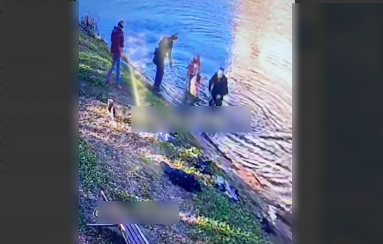 В Благовещенске в парке Дружбы спасли девушку из пруда - 2x2.su