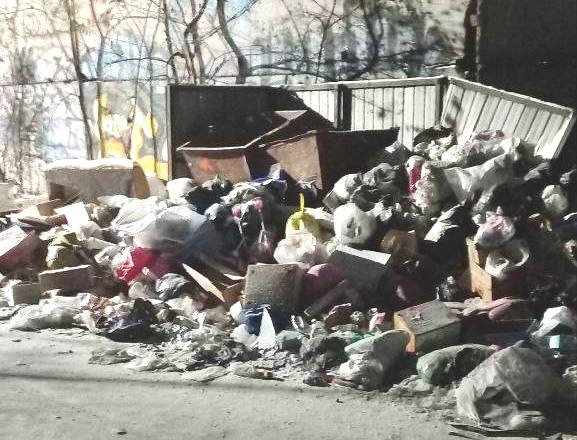 Белогорцы продолжают жаловаться на нового регоператора по вывозу мусора - 2x2.su