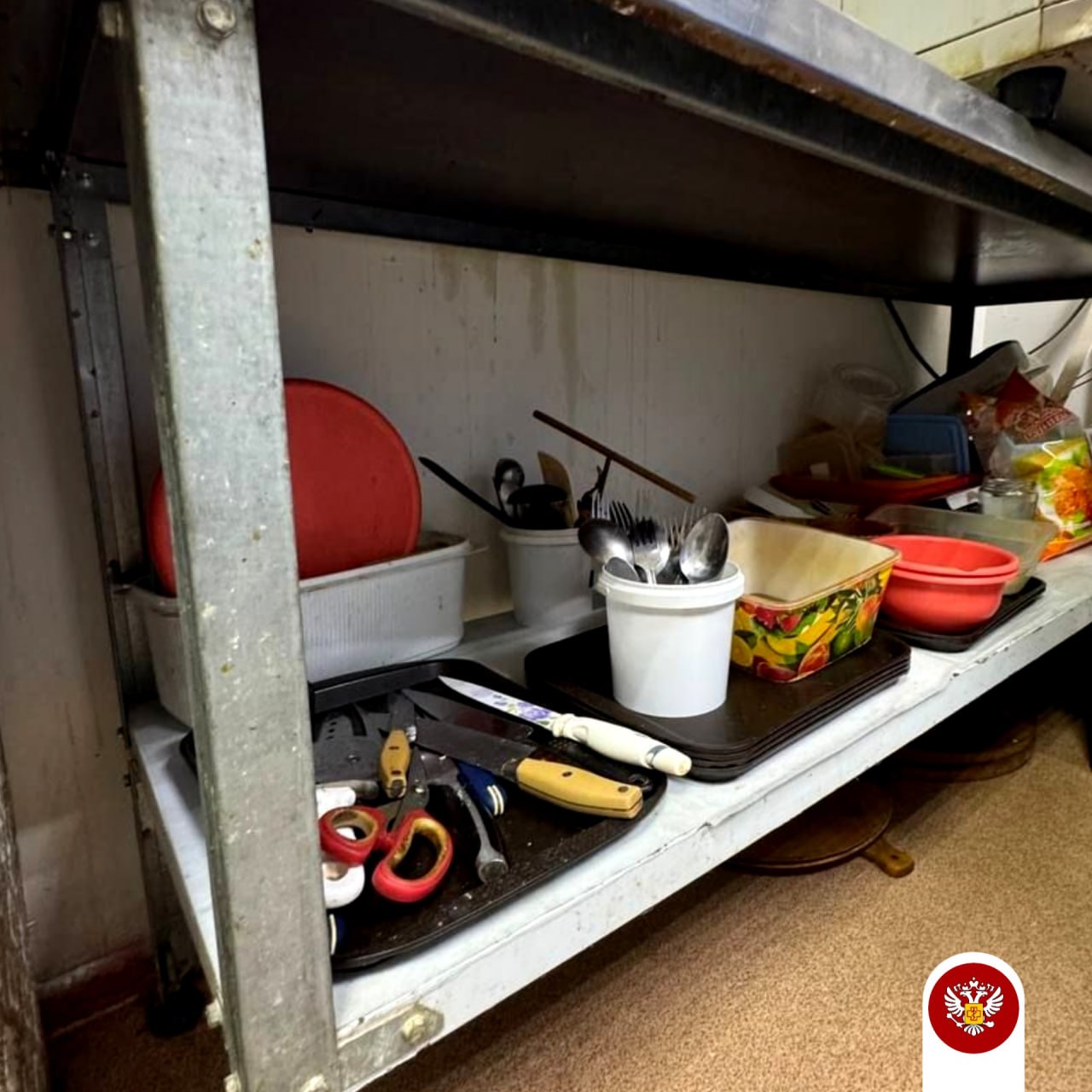 Роспотребнадзор наглядно показал, из-за чего закрыл кафе в Тамбовке - 2x2.su картинка 5