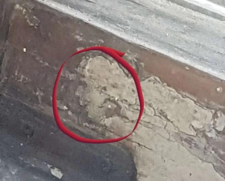 В Благовещенске портрет Ленина продают за 600 тысяч рублей