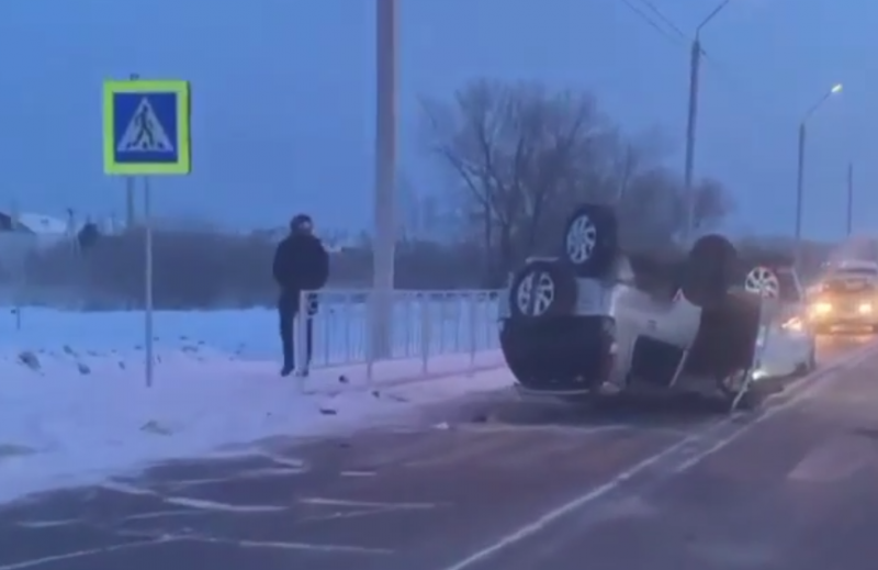 В Благовещенске ищут свидетелей аварии, в которой погибла зоозащитница - 2x2.su