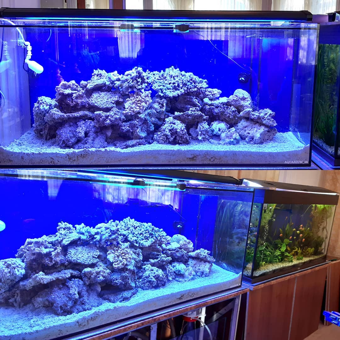 Груминг, магазины, дрессировка: где найти всё для вашего питомца? - 2x2.su картинка 8