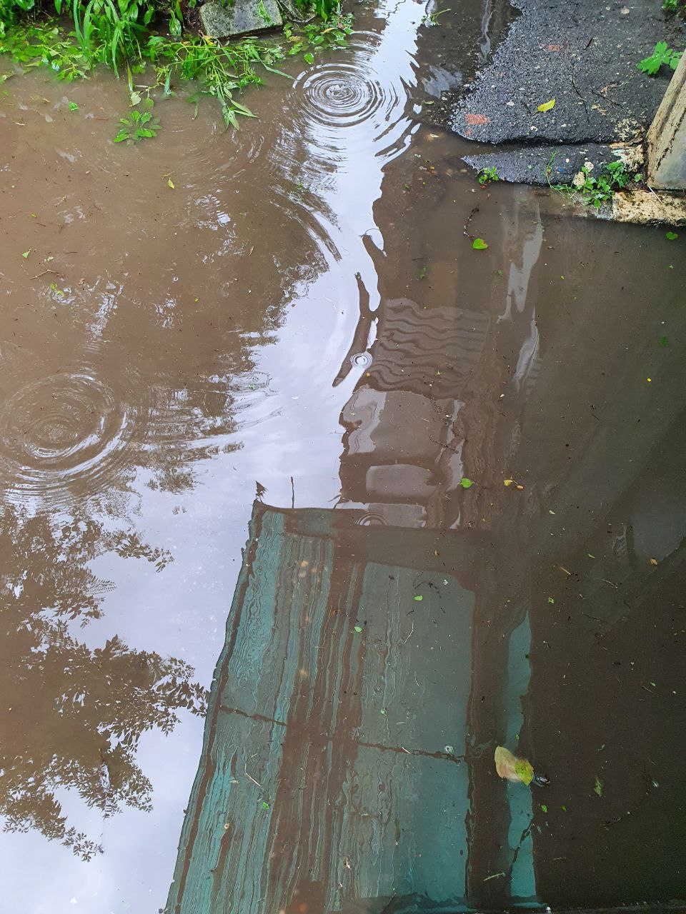 «Уже купили резиновые сапоги»: в Благовещенске после ремонта дороги топит двор и подъезд дома - 2x2.su картинка 5