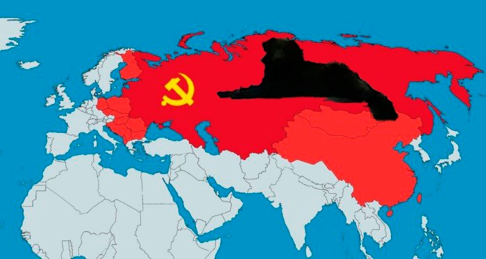 «С нами Черныш»: в Свободном появилась живая достопримечательность  - 2x2.su картинка 6