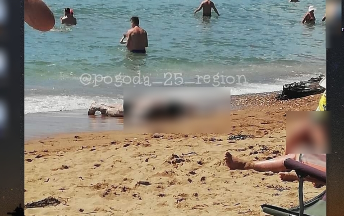 Туристы Владивостока, отдыхающие рядом с телом утонувшего мужчины, шокировали россиян